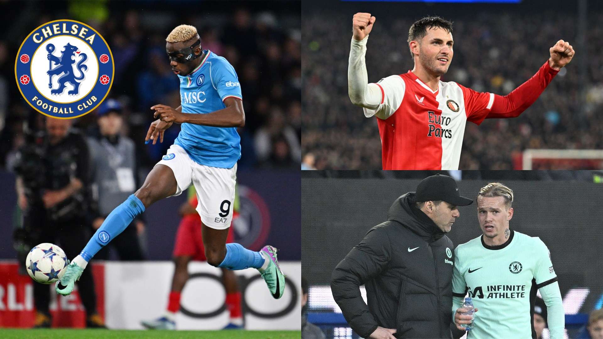 这也为未来 这也为未来